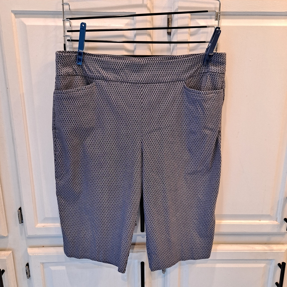 Chico's Blue Patterned Women's Shorts